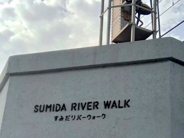 🚶‍♀️เดินชมริม Sumida River