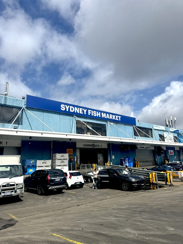 🦞🐟 Fresh from Sydney Fish Market! 🐚🧑‍🍳