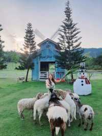 Royal Good View Resort & Farm สวนผึ้ง