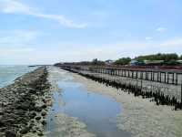 สะพานแดง (จุดชมวิวปลาโลมา)