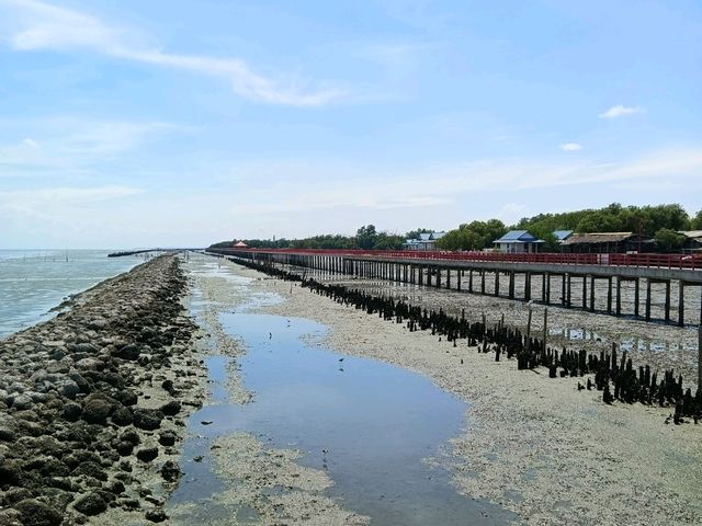 สะพานแดง (จุดชมวิวปลาโลมา)