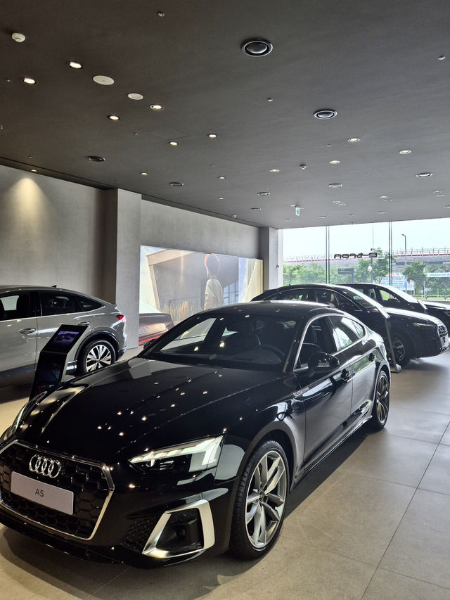 🚘 수원 도이치오토월드, 아우디의 스포티한 매력을 만나는 공간