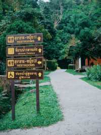 หนีเมืองกรุงมาฮีลใจที่ "น้ำตกคลองลาน" จ.กำแพงเพชร