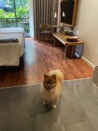 ที่พัก Pet friendly ที่ระยอง ใกล้หาดวิวสวย
