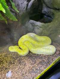 ท่องโลกใต้ท้องทะเลไปกับ Aquaria Phuket