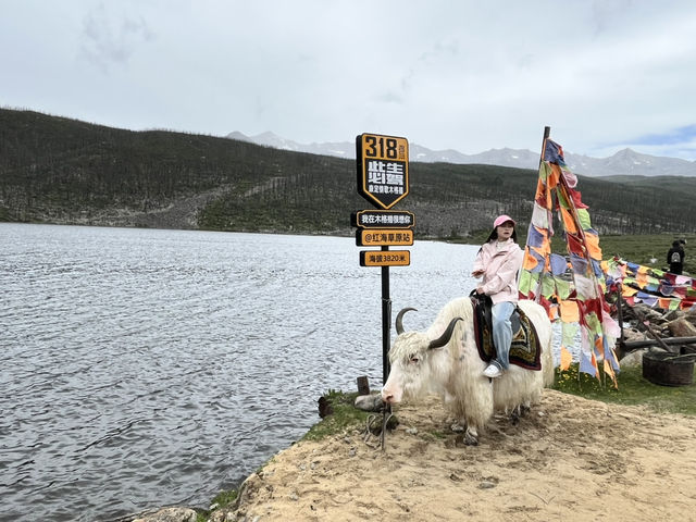 🌲🌊 Mugecuo Lake (木格措) — Highland Gem Near Kangding