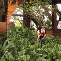 ✨🌱DAYDREAMING CAFE KHAOYAI 