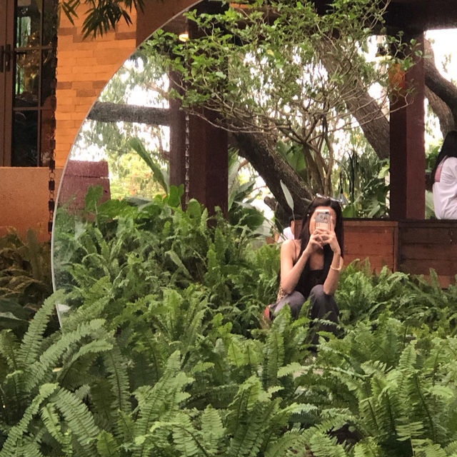 ✨🌱DAYDREAMING CAFE KHAOYAI 