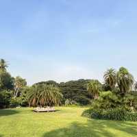 🌴 Darwin City Walk – Australia’s Laid-back Tropical Gem 🇦🇺