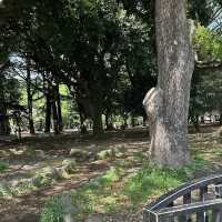 【東京/代々木🇯🇵】都会でリラックスするなら😌代々木公園
