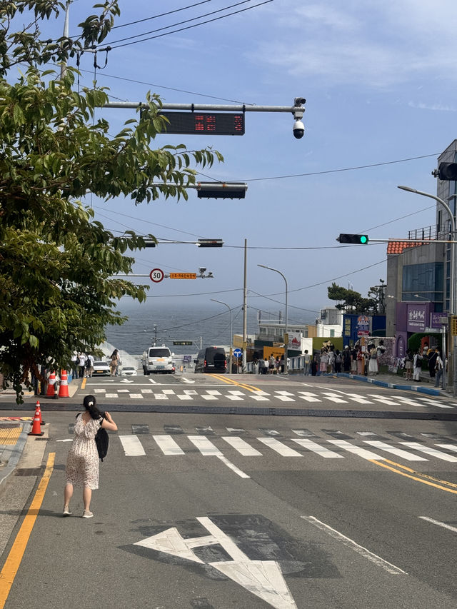 부산 풀코스 여행가이드🪿🐝🦋