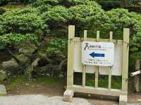金澤｜兼六園名景〔徽軫燈籠〕
