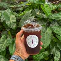 คาเฟ่ในสวนสุดชิล บรรยากาศดีสุดฮีลใจ #นนทบุรี 🥤🍃💚