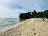 Borawan: Where Boracay Meets Palawan