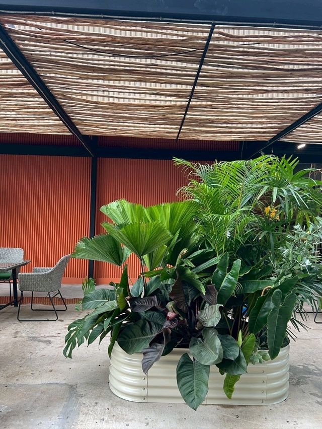 ร้านอาหารครอบครัวบรรยากาศดี