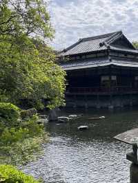 【福岡】住宅街の片隅に佇む立地な日本庭園🌱