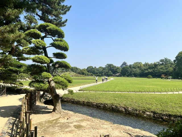 冈山后乐园一日游｜日本三大名园·四季美景全收录