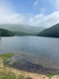 부산 근교 양산에 있는 피톤치드 가득한 산책로🍃