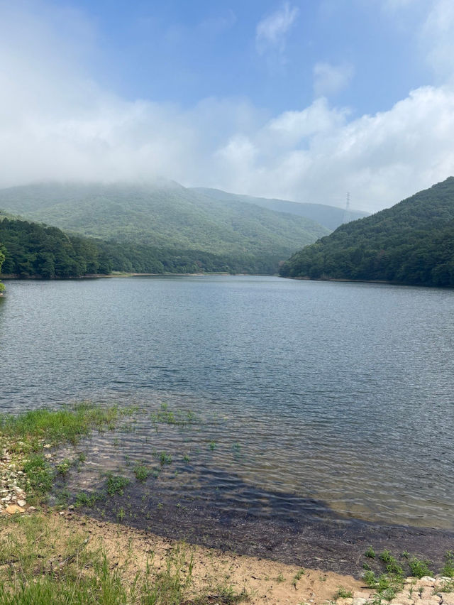 부산 근교 양산에 있는 피톤치드 가득한 산책로🍃