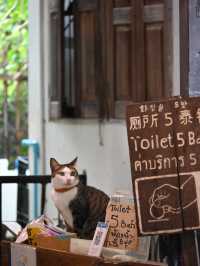 Baan Kang Wat: Chiang Mai’s Secret Garden Of Slow Living