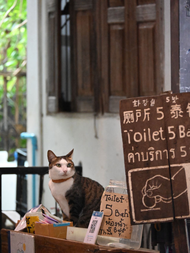Baan Kang Wat: Chiang Mai’s Secret Garden Of Slow Living