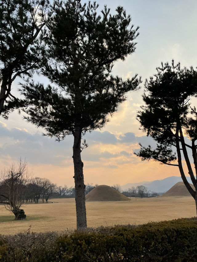 경주 고즈넉한 한옥에서 맛보는 고기한상 