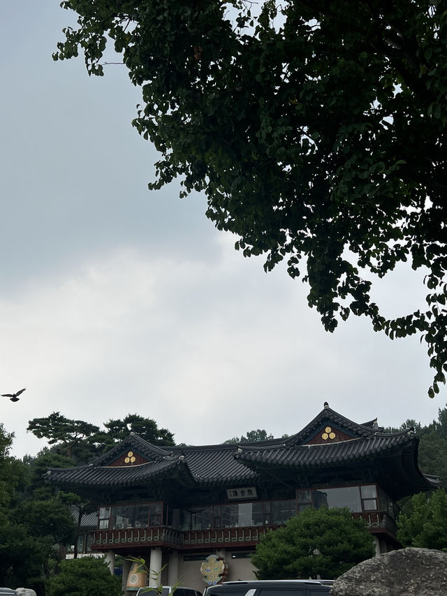 연꽃 그리고 봉은사