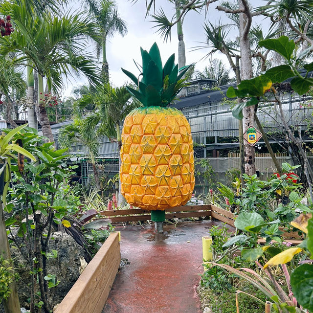 【️沖縄】 ナゴパイナップルパーク🍍