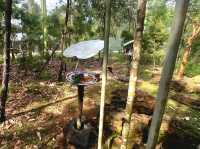 Experience the australian outback in Bird Paradise