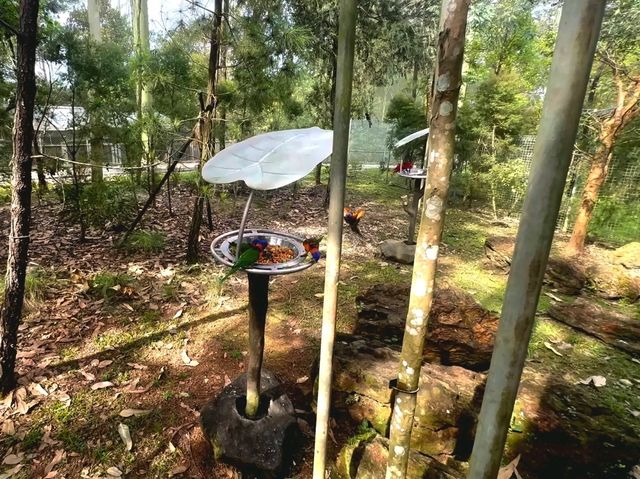 Experience the australian outback in Bird Paradise
