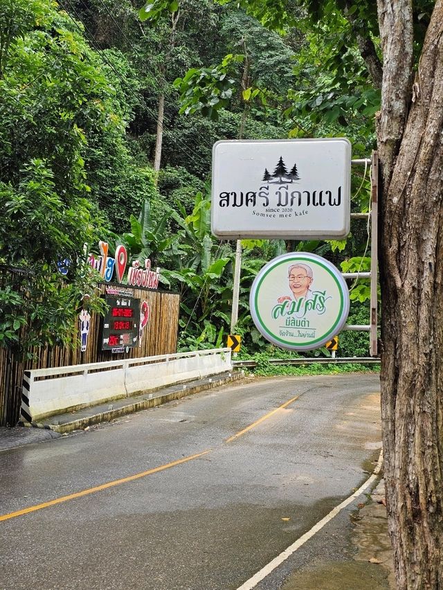 สมศรี มีกาแฟ  Somsee mee kafe บ้านปางไฮ