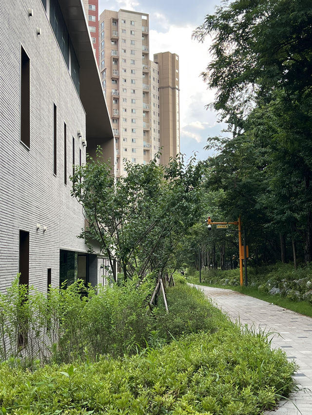 도서관과 숲속 공원