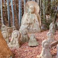 🌿 Secret Kyoto Escape: Sekiho-ji Temple – Fushimi Inari’s Quiet Neighbor