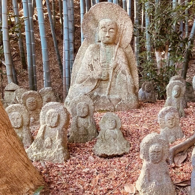 🌿 Secret Kyoto Escape: Sekiho-ji Temple – Fushimi Inari’s Quiet Neighbor