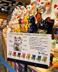 [Japan 🇯🇵] Aeon Tokoname: More Than Just Shopping & a Big Cat Friend!