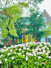 最新Miffy主題樂園