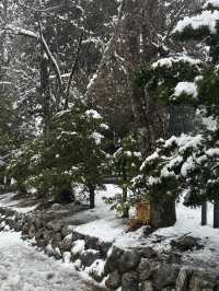 Shirakawago ลุ้นหิมะตกต้นธันวา!