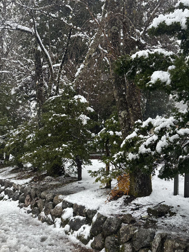 Shirakawago ลุ้นหิมะตกต้นธันวา!