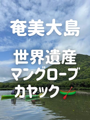 🌴【Amami Oshima】Canoeing in the mangroves of the World Heritage Site🛶