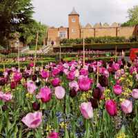 Holland Park of Kensington