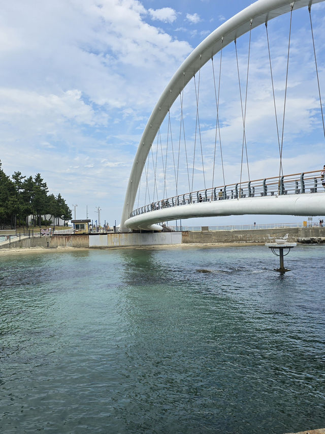 江陵市3日2夜獨旅