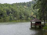 Journey to Pang Ung: Where Mountains Meet Misty Clouds
