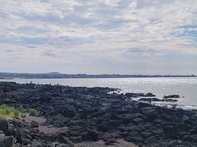 제주도 언제가도 좋은곳
