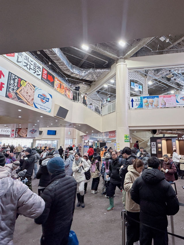 กาล่ายูซาวา (GALA Yuzawa) – สกีใกล้โตเกียว