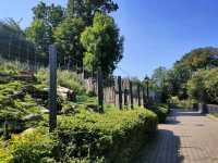 Kaliningrad Zoo