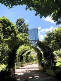 เดินเล่นในสวน Kowloon Park ฮ่องกง🇭🇰