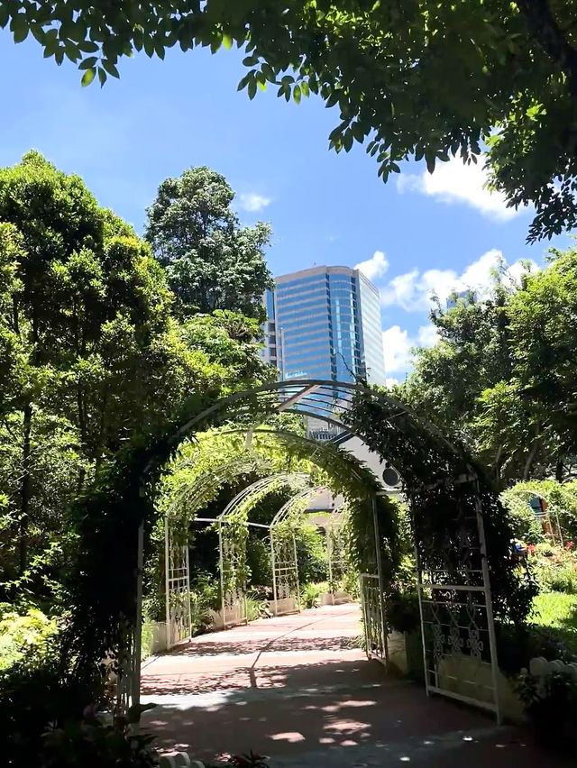 เดินเล่นในสวน Kowloon Park ฮ่องกง🇭🇰