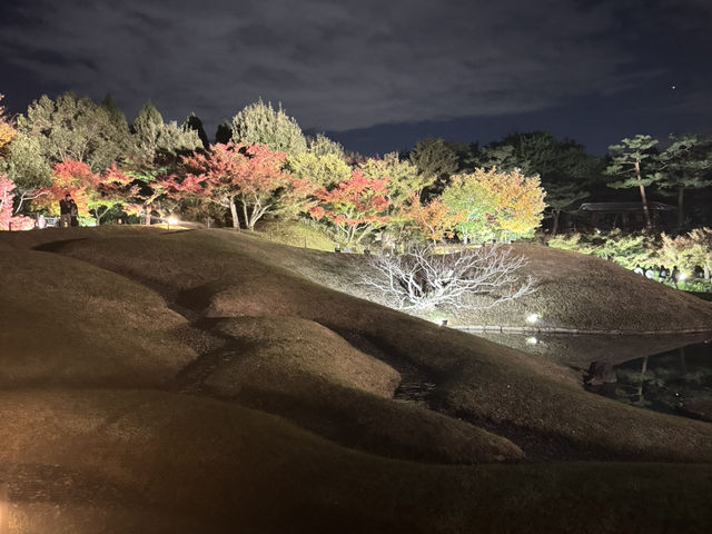 【京都旅行】今年の秋に紅葉見るならここ！！🍁