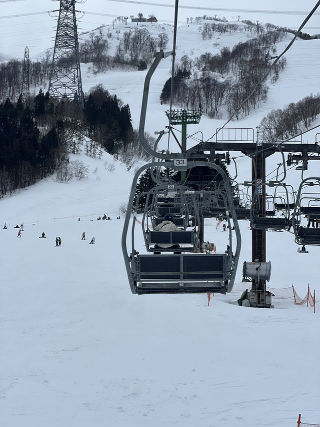 Snowboard