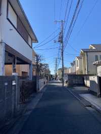 Gotokuji Temple in Tokyo